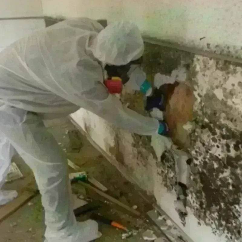 Mold Remediation and Removal in Church Rock, NM